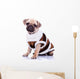 cute mops puppy dog wearing clothes Wall Decal