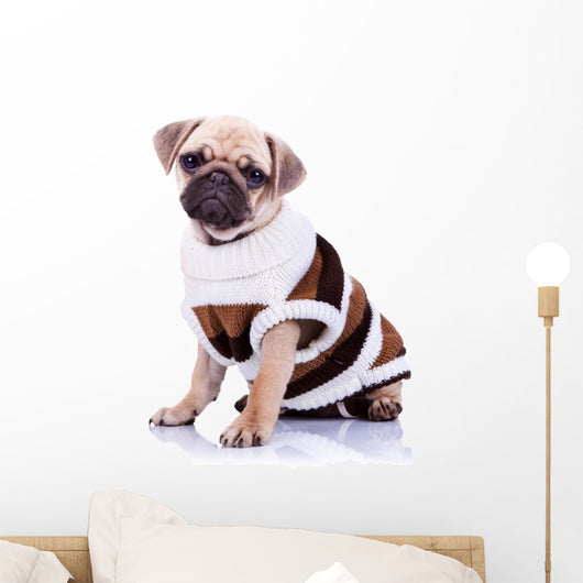 cute mops puppy dog wearing clothes Wall Decal