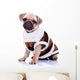 cute mops puppy dog wearing clothes Wall Decal