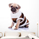 cute mops puppy dog wearing clothes Wall Decal