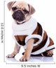 cute mops puppy dog wearing clothes Wall Decal