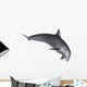 Dolphin Wall Decal