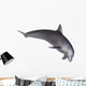 Dolphin Wall Decal