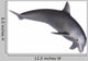 Dolphin Wall Decal