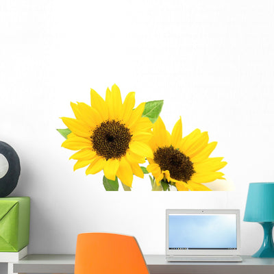 Sunflower shown on a wall