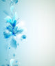 Seamless Tender with Blue Wall Decal