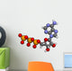 Adenosine Triphosphate Atp Wall Decal