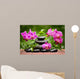 Spa Concept