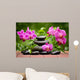 Spa Concept