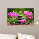 Spa Concept