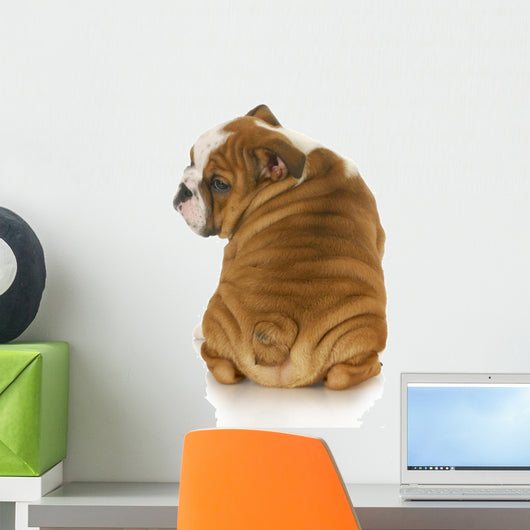 cute puppy Wall Decal