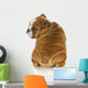 cute puppy Wall Decal