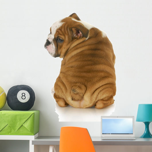 cute puppy Wall Decal