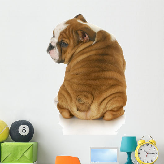 cute puppy Wall Decal