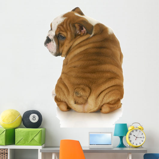 cute puppy Wall Decal