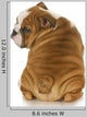 cute puppy Wall Decal