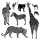 Vector illustration set: wild animals .Africa Wall Decal