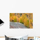 Larch Trees Autumn Wall Decal