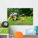 Troodon Attacking Euoplocephalus Dinosaurs Series Wall Mural