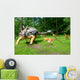 Troodon Attacking Euoplocephalus Dinosaurs Series Wall Mural