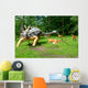 Troodon Attacking Euoplocephalus Dinosaurs Series Wall Mural