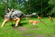 Troodon Attacking Euoplocephalus Dinosaurs Series Wall Mural