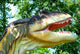 Allosaurus Fragilis Allosaur Dinosaurs Series Wall Mural