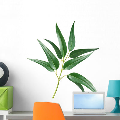 Eucalyptus Wall Decal shown on a wall