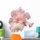 Beverly Sills Iris Hybrid Wall Decal