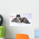 Husky Dogs Wall Mural