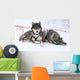 Husky Dogs Wall Mural