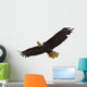 Bald Eagle Flying