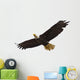 Bald Eagle Flying