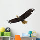 Bald Eagle Flying