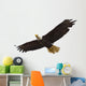 Bald Eagle Flying