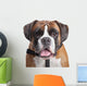 Boxer dog Wall Decal