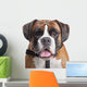 Boxer dog Wall Decal