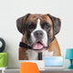 Boxer dog Wall Decal