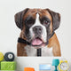 Boxer dog Wall Decal