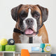 Boxer dog Wall Decal