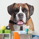 Boxer dog Wall Decal