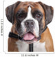 Boxer dog Wall Decal