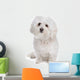 Bolognese dog Wall Decal