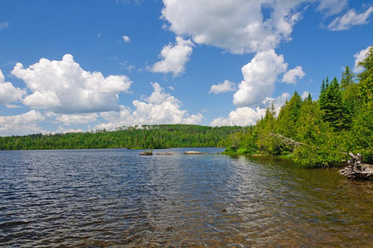 Summer Canoe Country