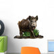 Wild boar on a white background Wall Decal