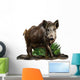 Wild boar on a white background Wall Decal