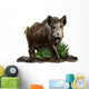 Wild boar on a white background Wall Decal