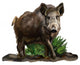 Wild boar on a white background Wall Decal