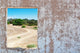 Windows Forest Roads