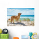 Golden Retriever Sandy Dune